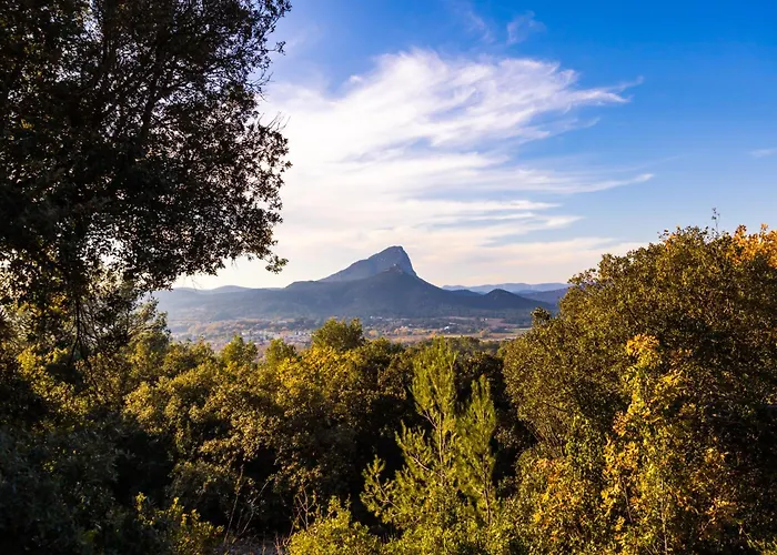 Domaine De Bonelli