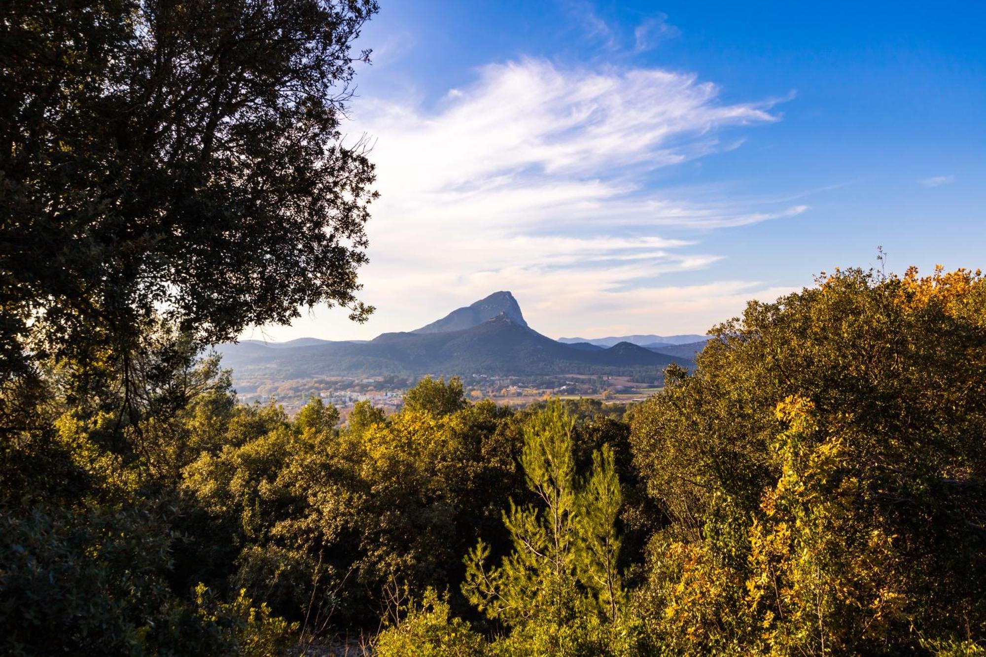 Domaine De Bonelli Conqueyrac
